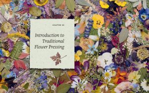 The Pressed Flower Handbook: Simple Methods for Connecting with Nature and Preserving the Beauty of the Garden through the Seasons - Grow, Gather, Press, Create - Image 2