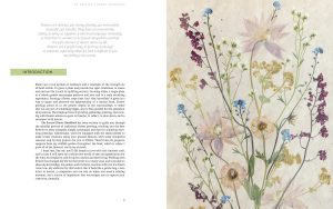 The Pressed Flower Handbook: Simple Methods for Connecting with Nature and Preserving the Beauty of the Garden through the Seasons - Grow, Gather, Press, Create - Image 4