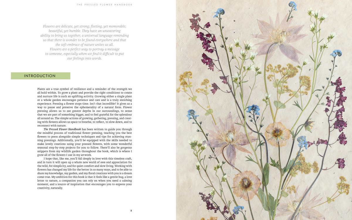 The Pressed Flower Handbook: Simple Methods for Connecting with Nature and Preserving the Beauty of the Garden through the Seasons - Grow, Gather, Press, Create - Image 4