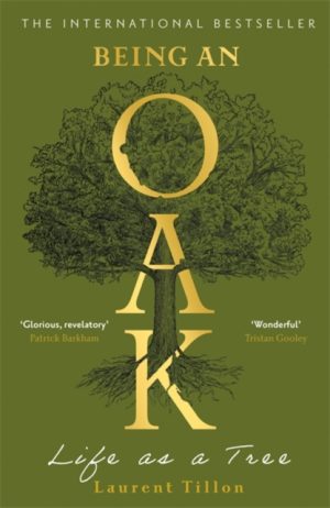 Being an Oak : Life as a tree