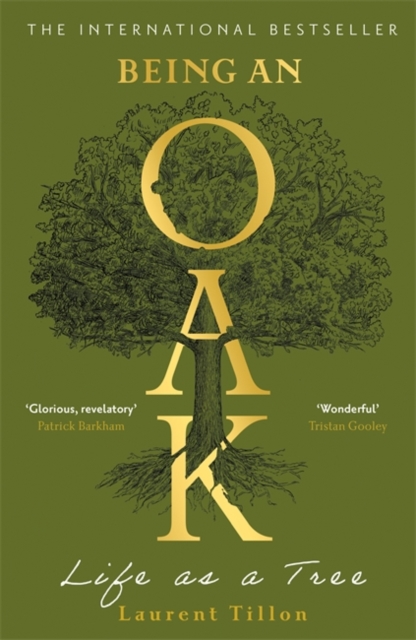 Being an Oak : Life as a tree
