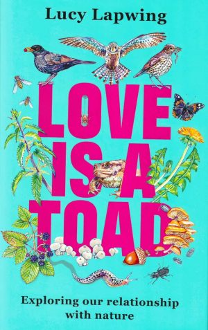 Front cover of Love Is A Toad