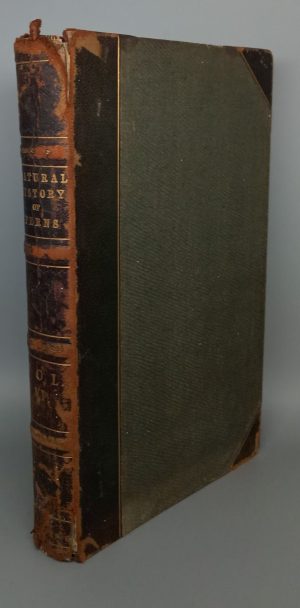 Ferns: British and Exotic, Vol. VI