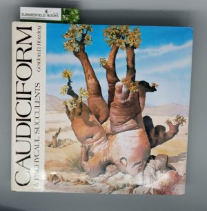 Caudiciform & Pachycaul Succulents