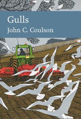 Front cover of Gulls, New Naturalist volume 139