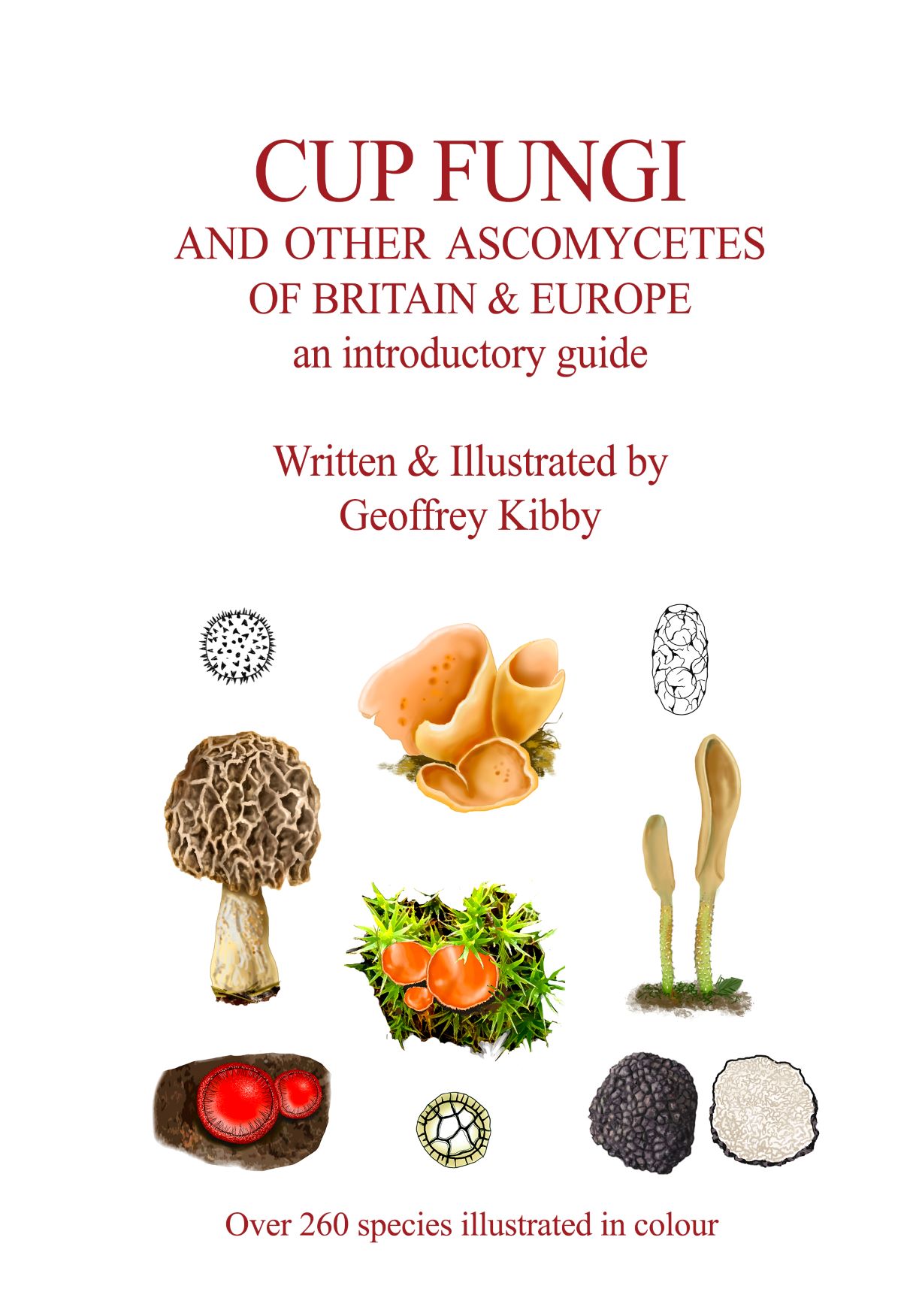 Cup Fungi and other ascomycetes of Britain & Europe
