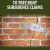 Front cover of A Practical Guide to the Law in Relation to Tree Root Subsidence Claims
