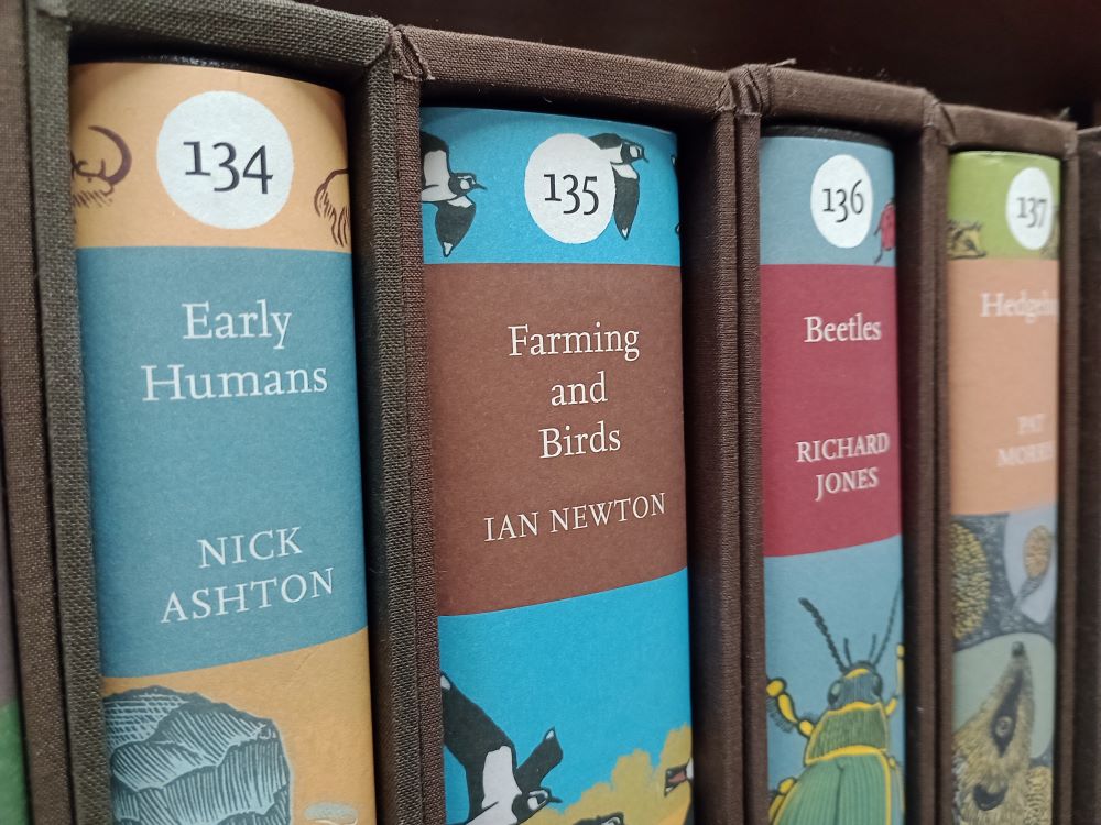 Early Humans: New Naturalist 134: Leather bound - Image 3