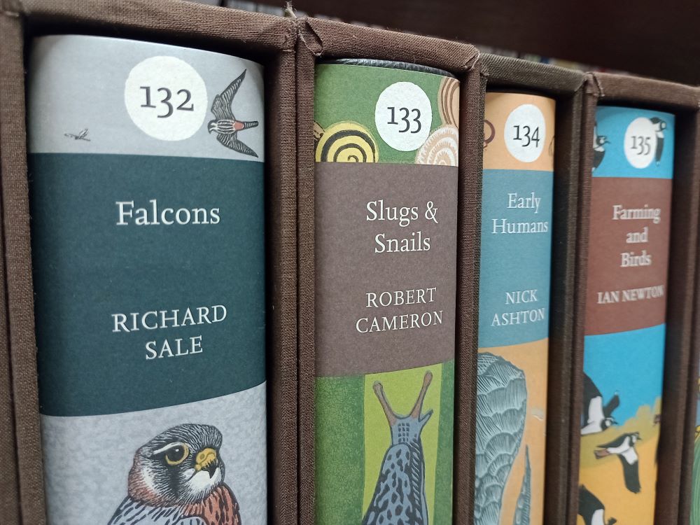 Falcons: New Naturalist 132: Leather bound - Image 3