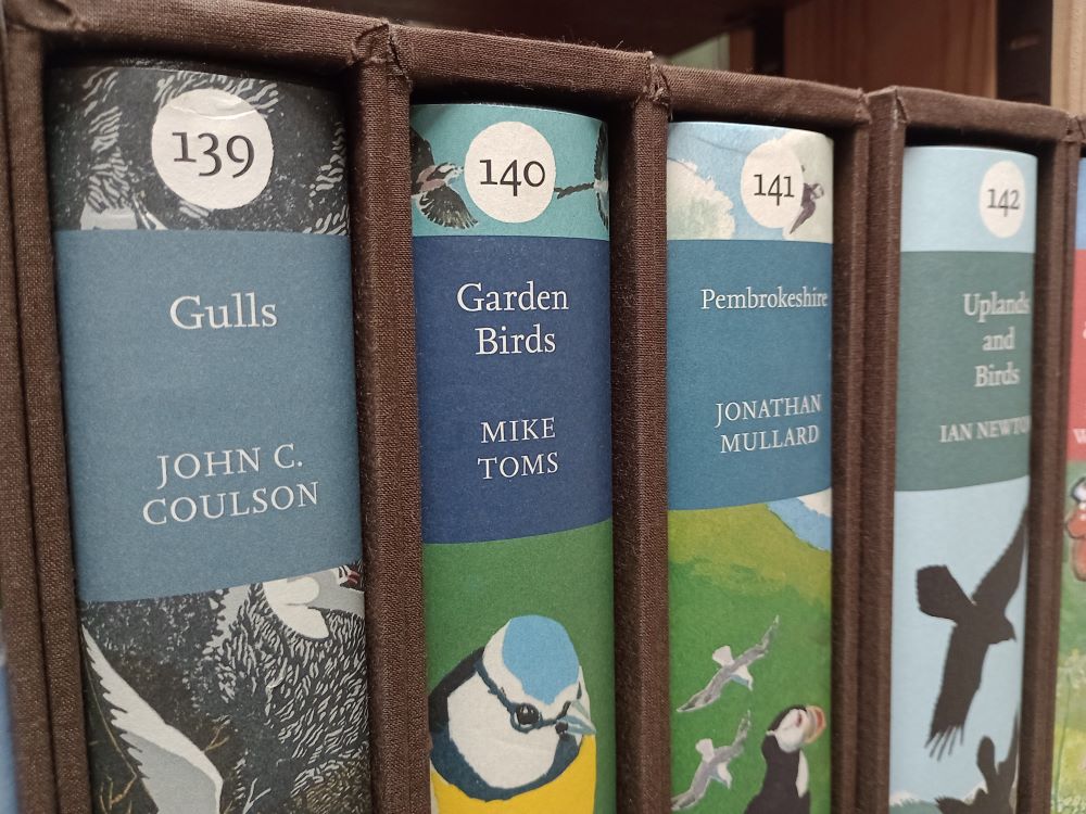 Gulls: New Naturalist 139: Leather bound - Image 3