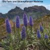 Die Farn- und Blütenpflanzen Madeiras (The Ferns and Flowering Plants of Madeira)