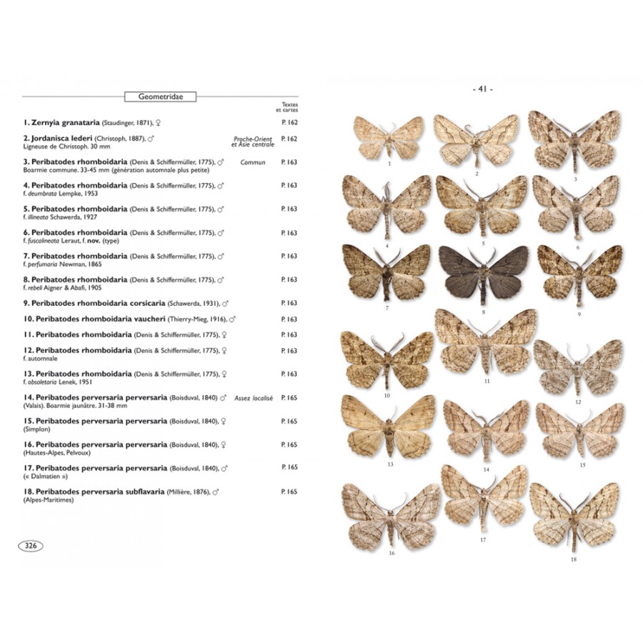 Moths of Europe, volume 2: Geometrid Moths - Image 5