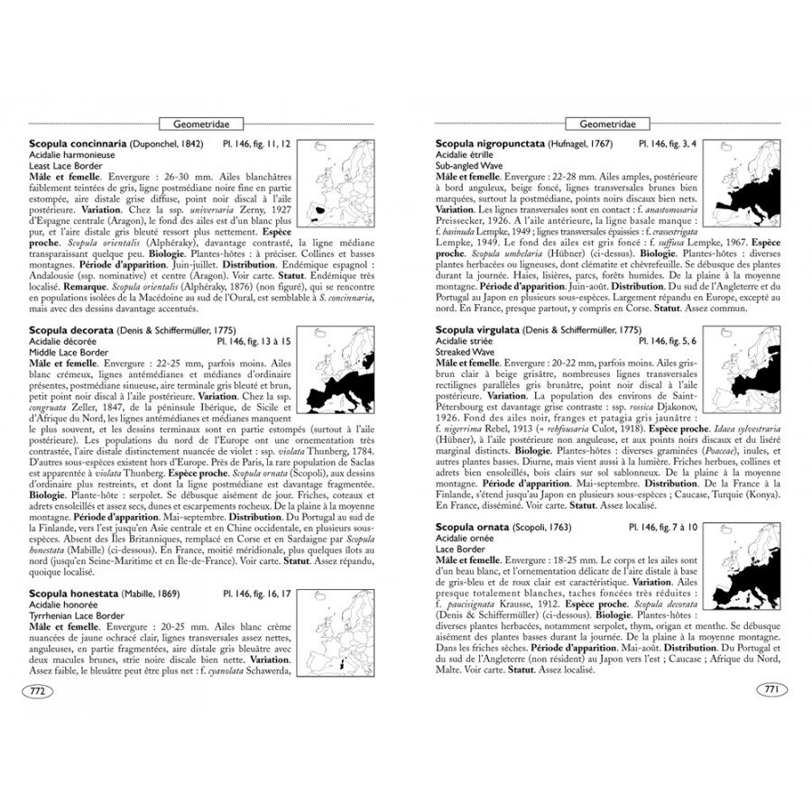Moths of Europe, volume 2: Geometrid Moths - Image 7