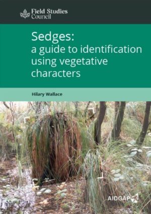Front cover of Sedges A Guide to Identification Using Vegetative Characters