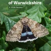 The Macro-moths of Warwickshire A 2026 Review book cover