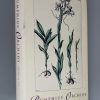 Rumphius' Orchids