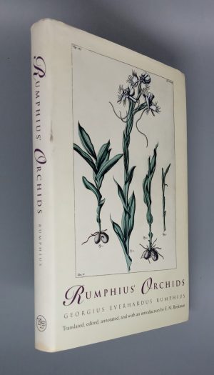 Rumphius' Orchids