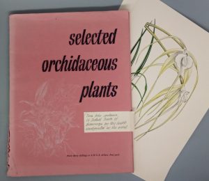 Selected Orchidaceous Plants (16 hand-printed orchid prints)