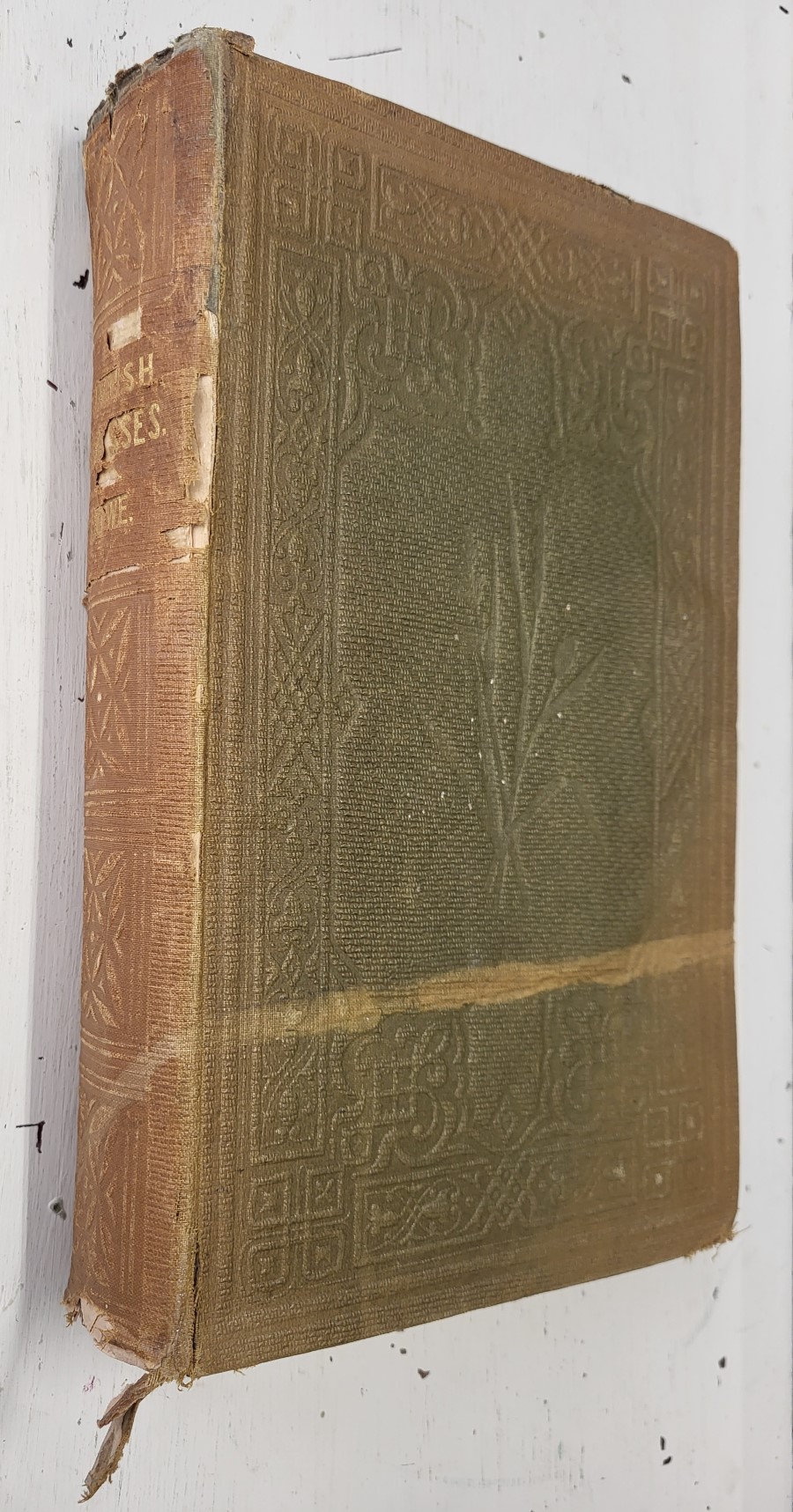 A Natural History of British Grasses