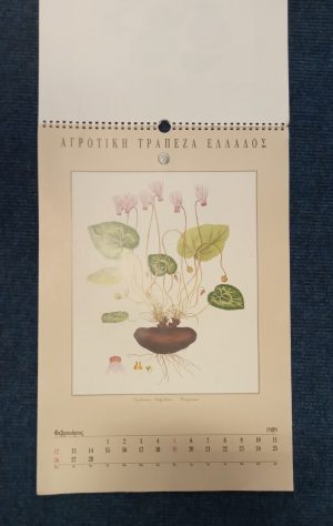 Flora Graeca Sibthorpiana (1989 large wall calendar)