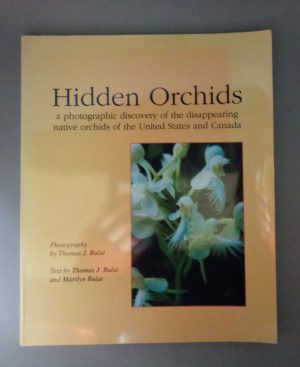 Hidden Orchids