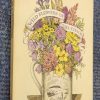 Wild Flowers of the Chalk