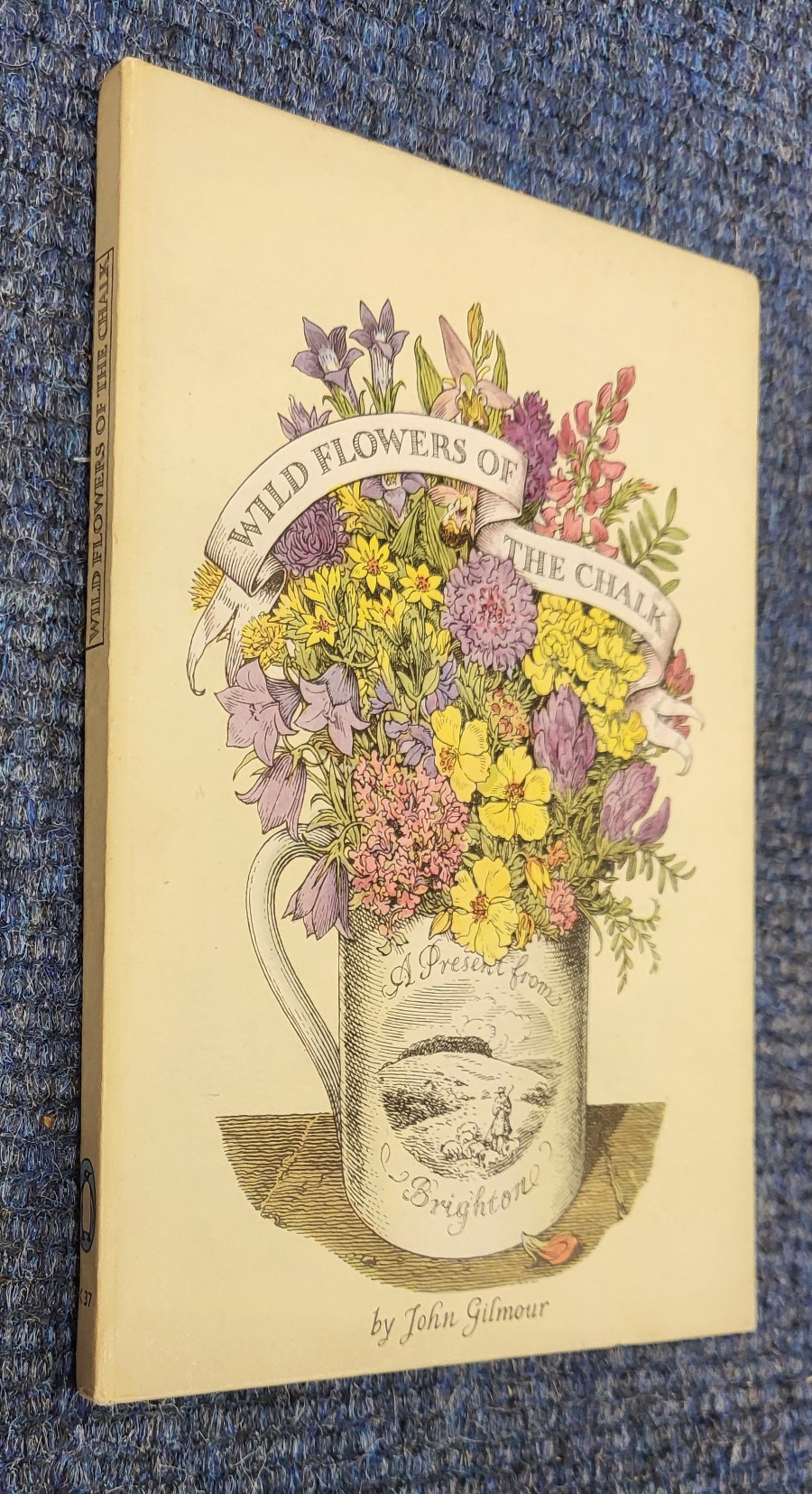 Wild Flowers of the Chalk