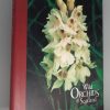 Wild Orchids of Scotland