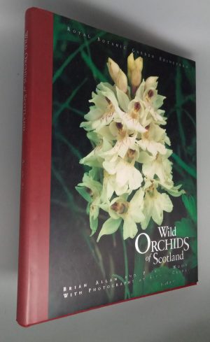 Wild Orchids of Scotland