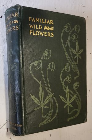 Familiar Wild Flowers, 7th & 8th series