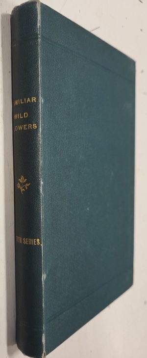 Familiar Wild Flowers, 4th series