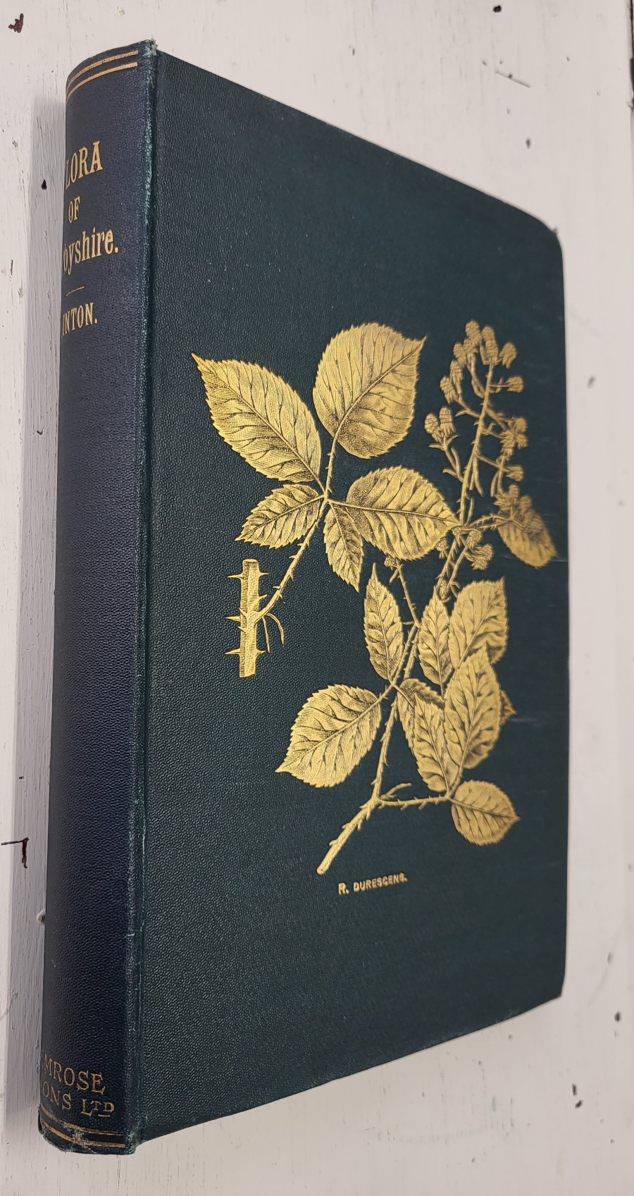 Flora of Derbyshire