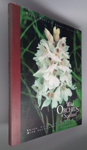 Wild Orchids of Scotland
