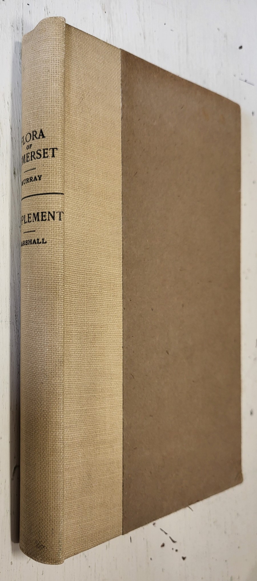 A supplement to the flora of Somerset