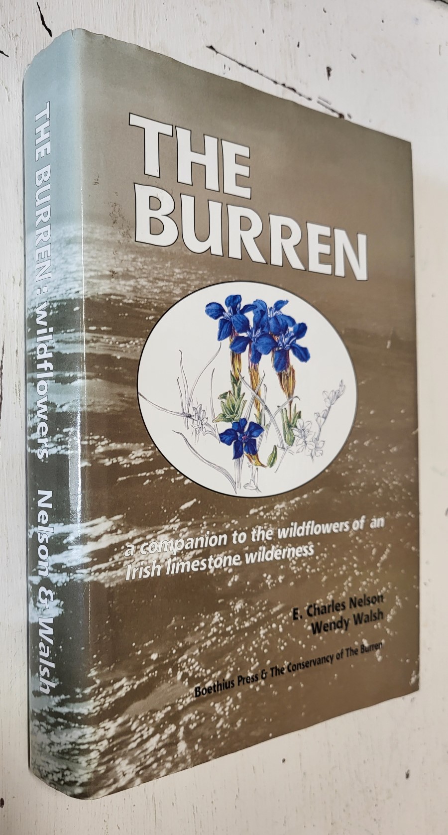 The Burren