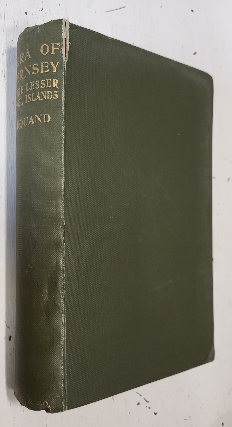 Flora of Guernsey and the Lesser Channel Islands