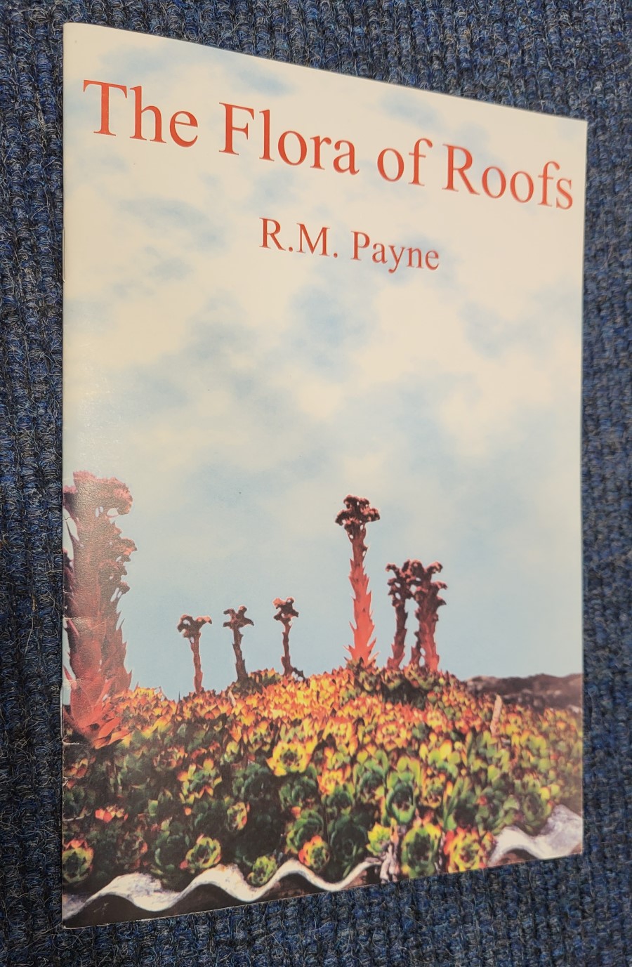 The Flora of Roofs