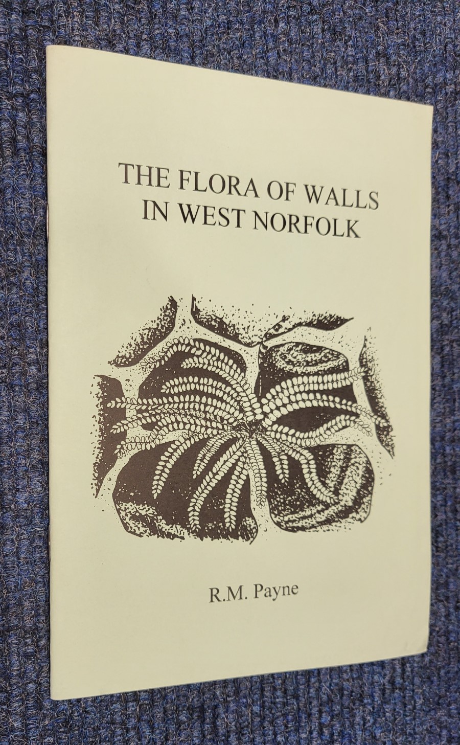 The Flora of Walls in West Norfolk