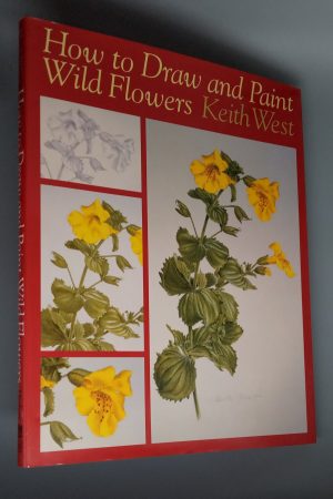 How to Draw and Paint Wild Flowers