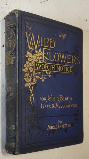 Wild Flowers Worth Notice
