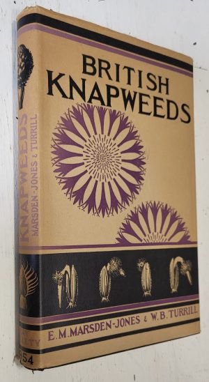 British Knapweeds