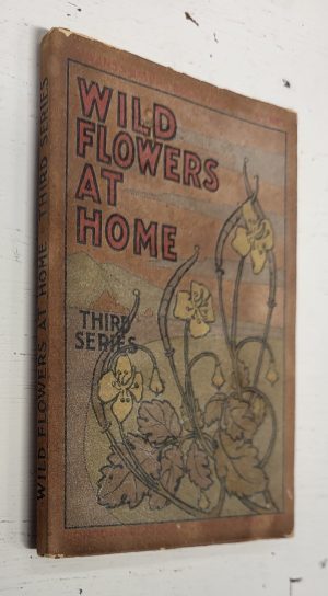 Wild Flowers At Home, Third Series (Gowans's Nature Books No. 9)