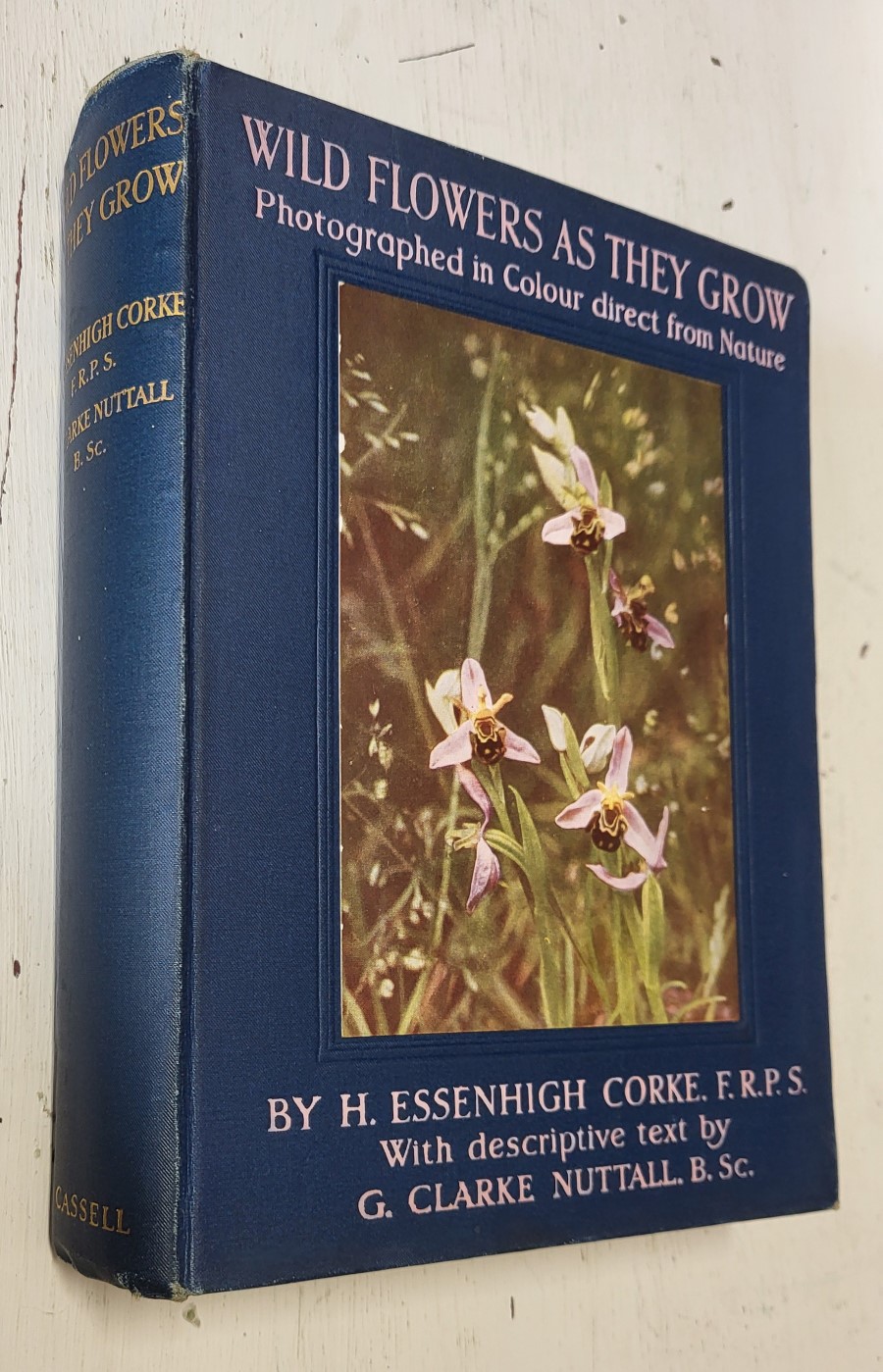 Wild Flowers as they Grow, series 1 only
