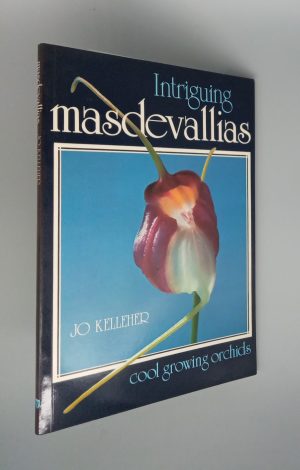 Intriguing Masdevallias