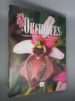 Les Orchidées Sauvages De France