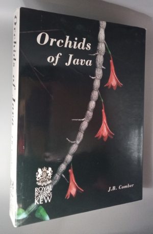 Orchids of Java
