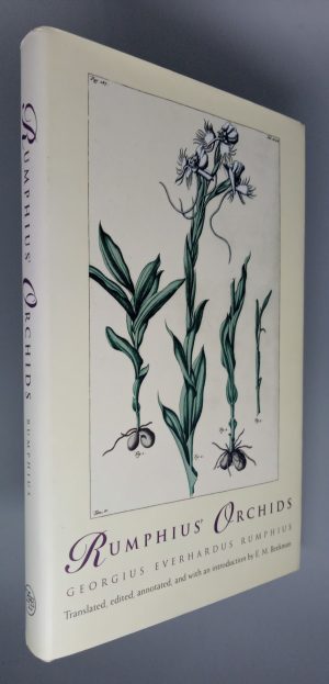 Rumphius' Orchids