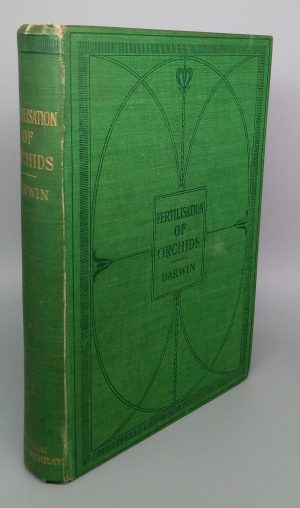 Fertilisation of Orchids