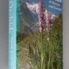 Wild Orchids of Britain and Europe