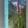 Wild Orchids of Britain and Europe